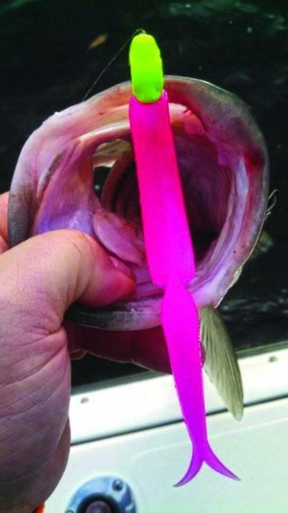 When rockfish are a little shy, sometimes a contrast in colors between the soft plastic and jighead does the trick. Photo courtesy of Bust ’Em Baits