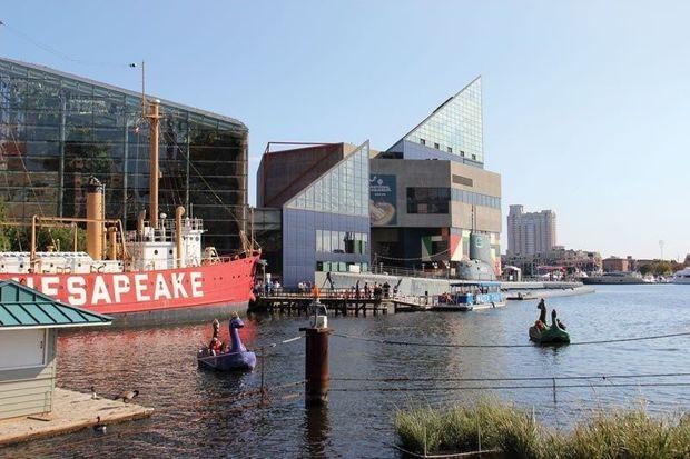 There is plenty to do at the Inner Harbor, including the National Aqaurium and tours of the Lightship Chesapeake and USS Torsk submarine.