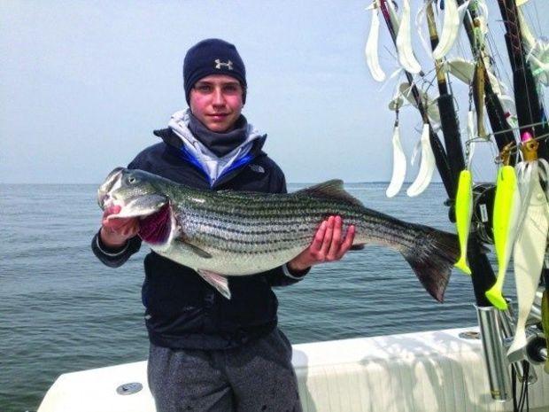 Sean McMenamin of Annapolis with his 36-inch rockfish from the opening weekend of the 2014 season. Photo courtesy of Kevin McMenamin