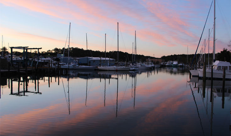 Dandy Haven Marina