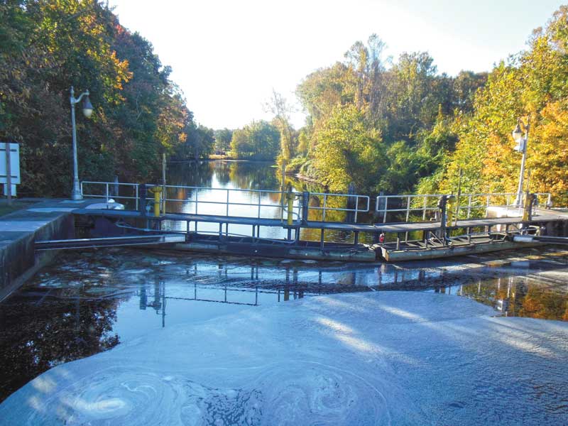 A view from the South Mills Lock on the Dismal Swamp canal.