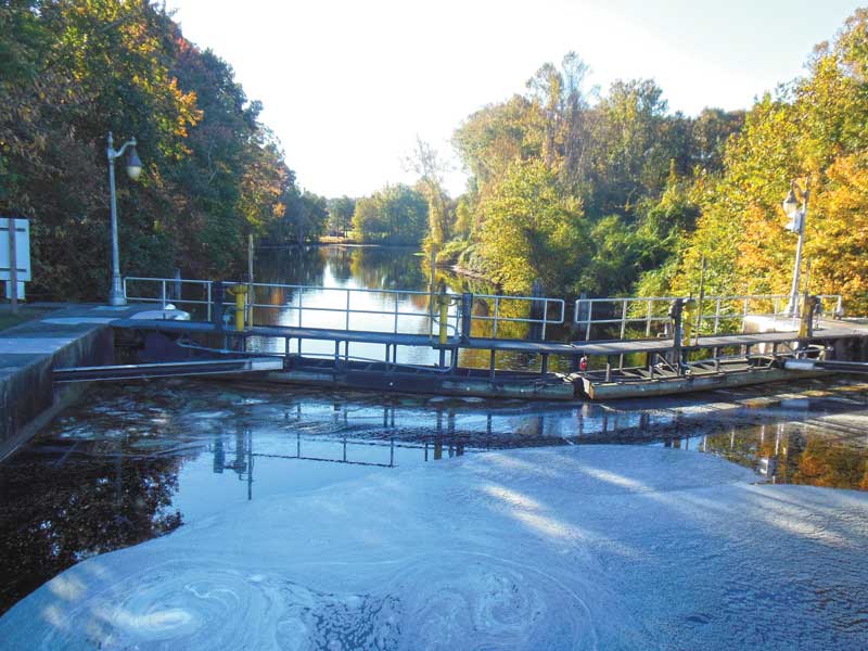 A view from the South Mills Lock on the Dismal Swamp canal. 