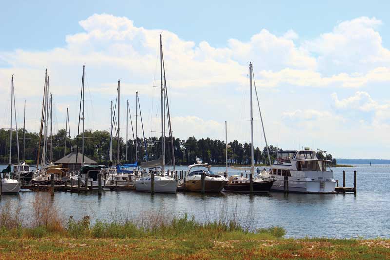 virginia-based vineyards