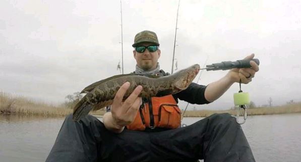 Zach Ditmars with a snakehead caught at Blackwater earlier this year.