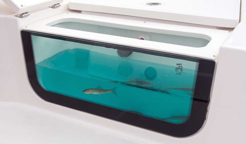 The livewell is built into the foredeck so you can always keep an eye on your bait.