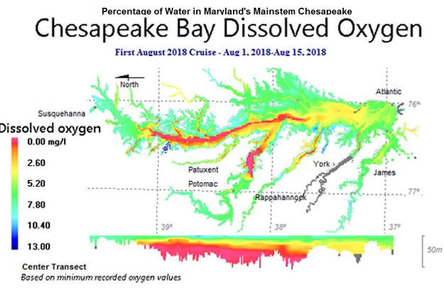 Data from the first August cruise: August 1-15, 2018. Courtesy MD DNR