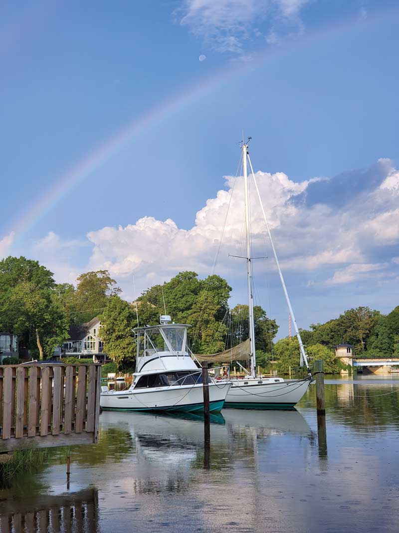 bertram yachts