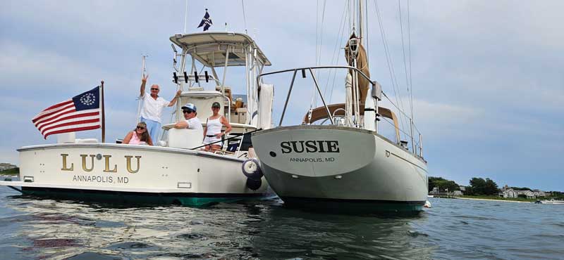 bertram yachts
