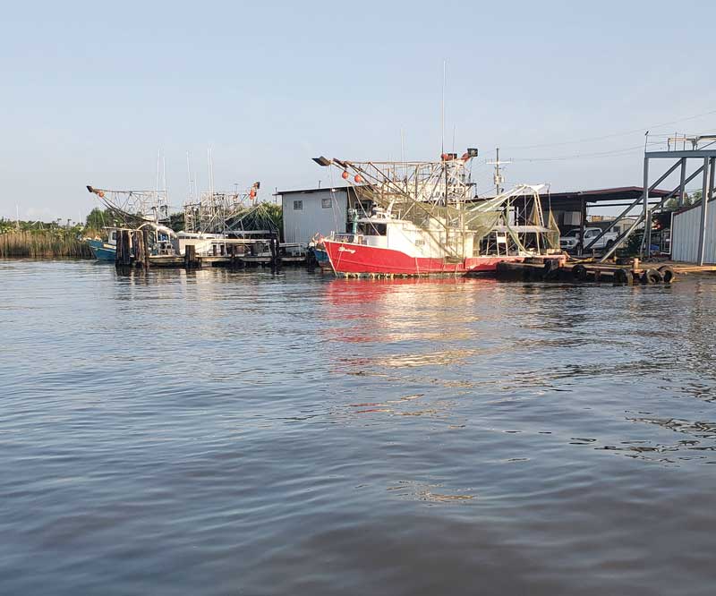 louisiana 