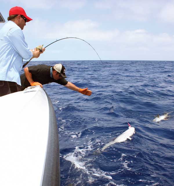 Anglers are encouraged not to practice catch-and-release fishing for rockfish after reaching their two-fish limit. Photo by Lenny Rudow