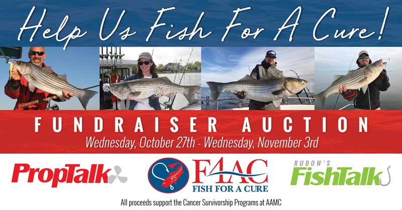 fish for a cure