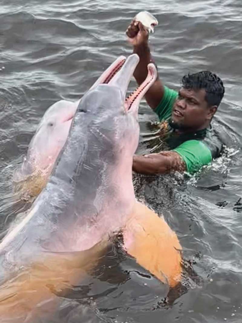 amazon fishing