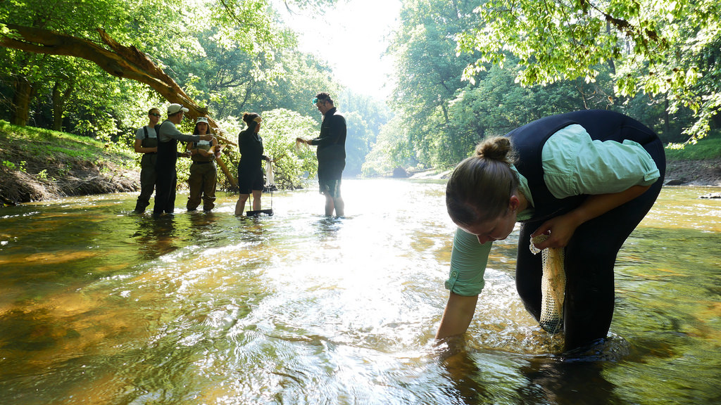 Each mussel is carefully placed in the Patapsco. Image courtesy MD DNR