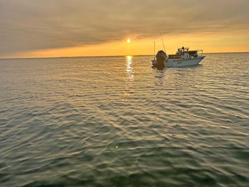 boston whaler montauk