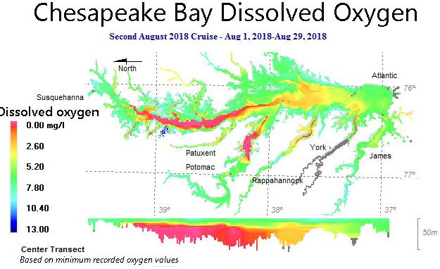 Data from the second August cruise: August 1-29, 2018. Courtesy MD DNR