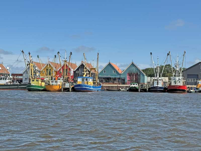 friesland