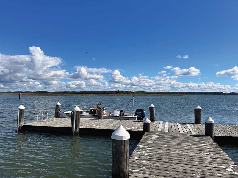 boston whaler montauk