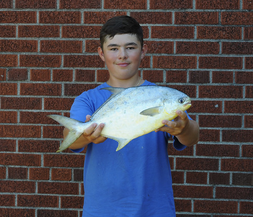 florida pompano