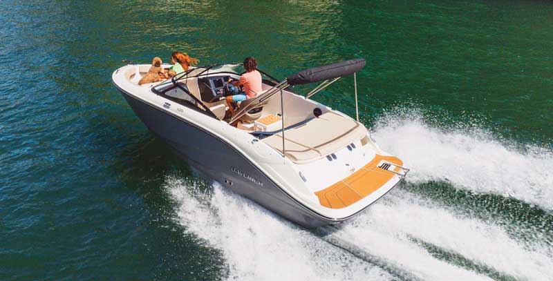 bayliner v20i