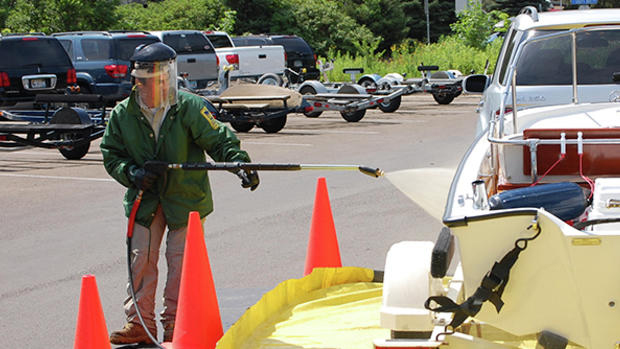 AIS infestation can also often result in serious damage to boats and their components. Courtesy ABYC