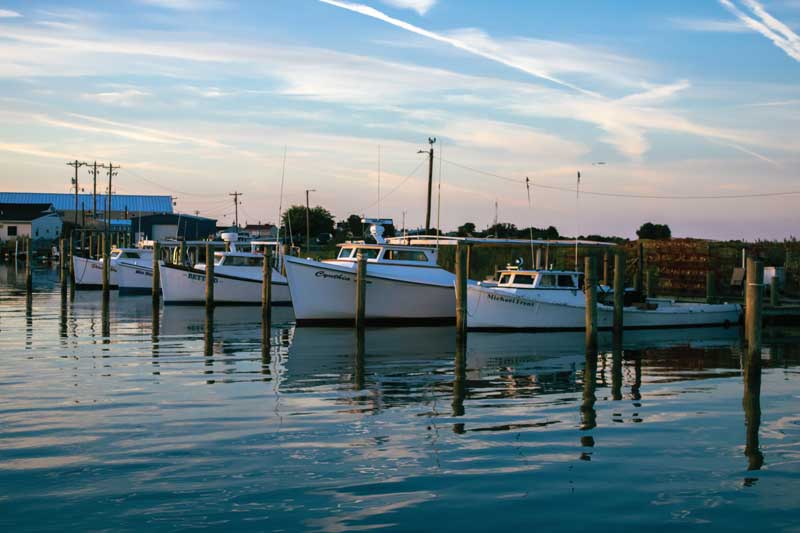 tangier island