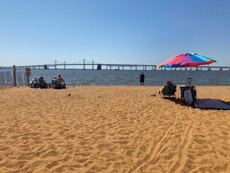 chesapeake bay report card