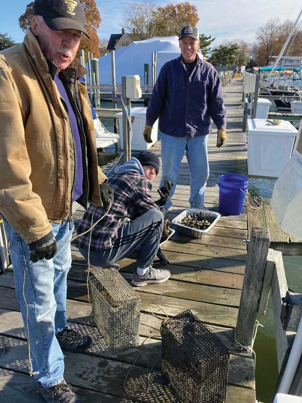 oyster gardening