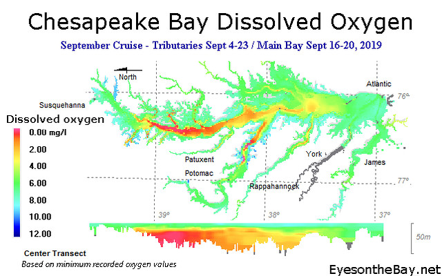 dissolved oxygen