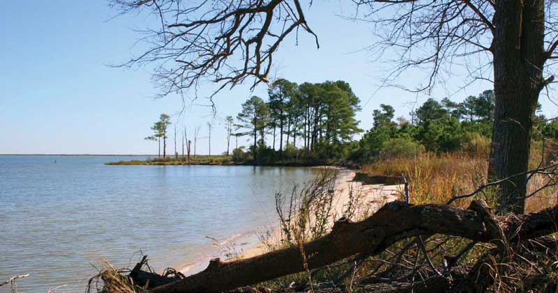 paddle the chesapeake