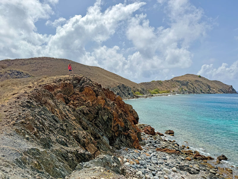bvi