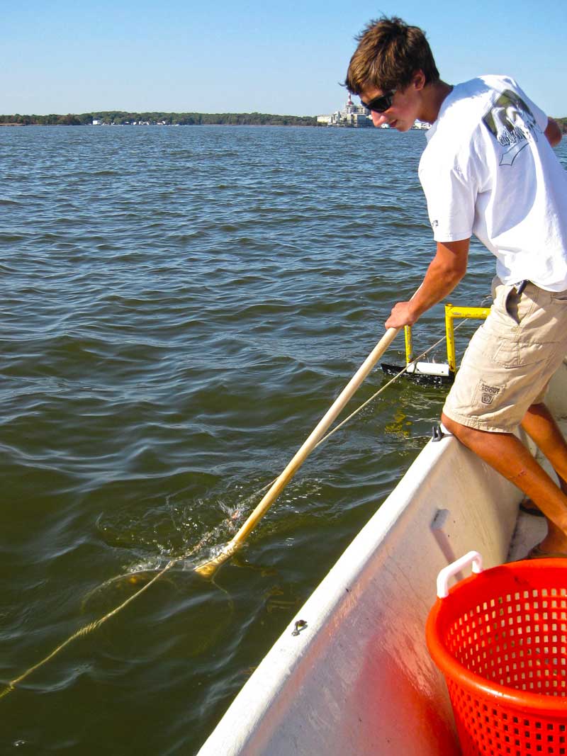 crabbing