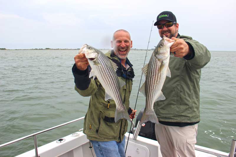 striped bass regulations