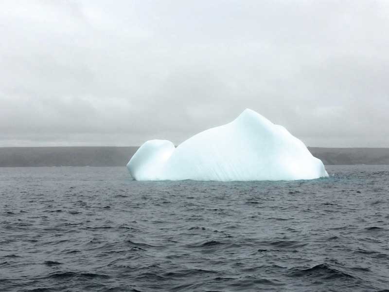 newfoundland