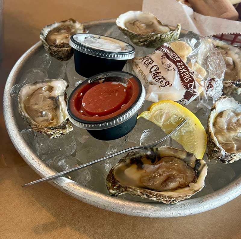 oyster festivals