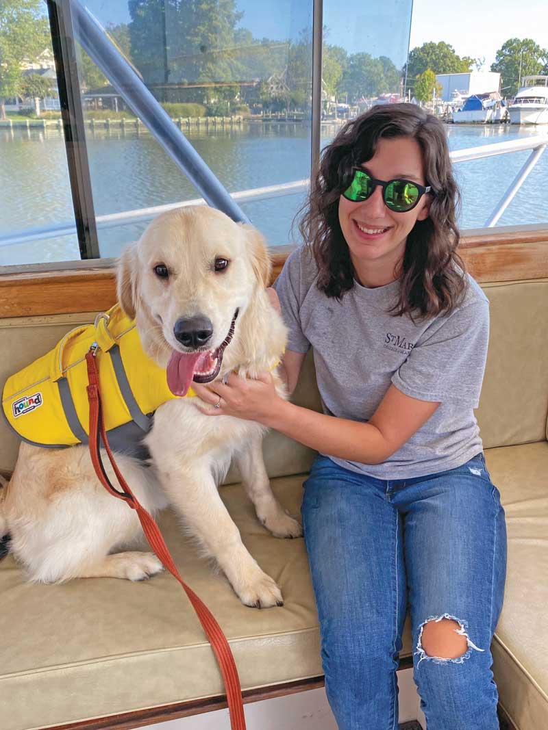 dog life jacket