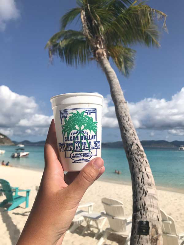 We only visited one beach bar on our trip: the Soggy Dollar Bar.