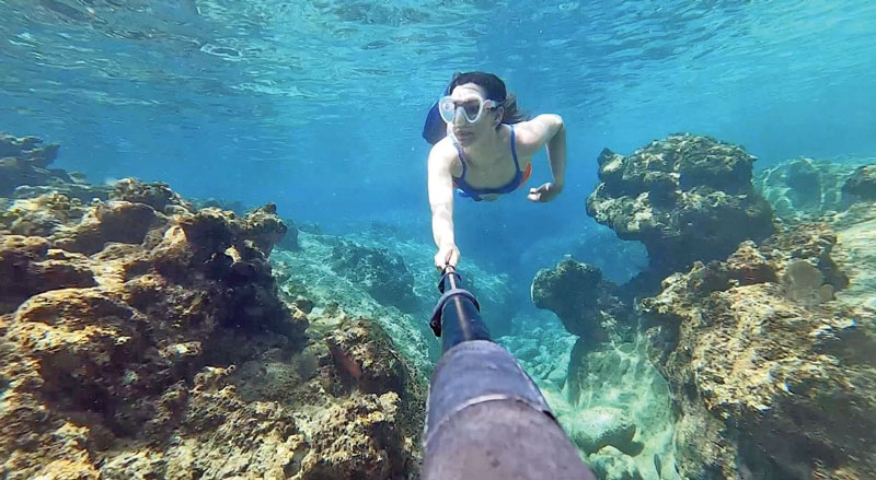 bvi