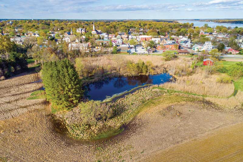 Chestertown wetlands preserve