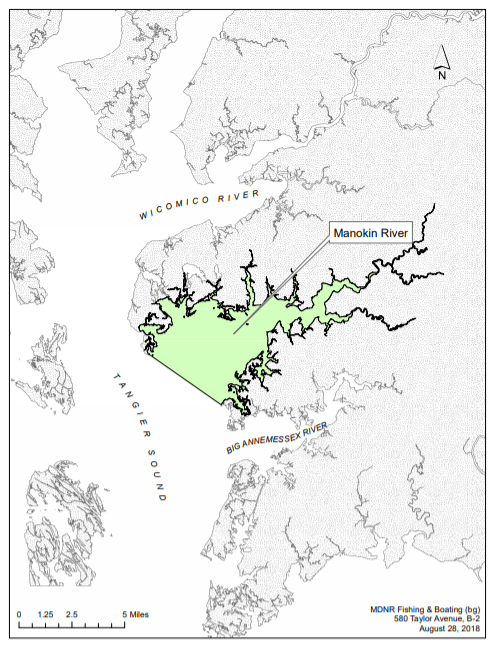 If selected, the Manokin will join Harris Creek, Little Choptank,  Tred Avon and Upper St. Mary’s as the state’s large-scale oyster restoration tributaries. Courtesy MD DNR