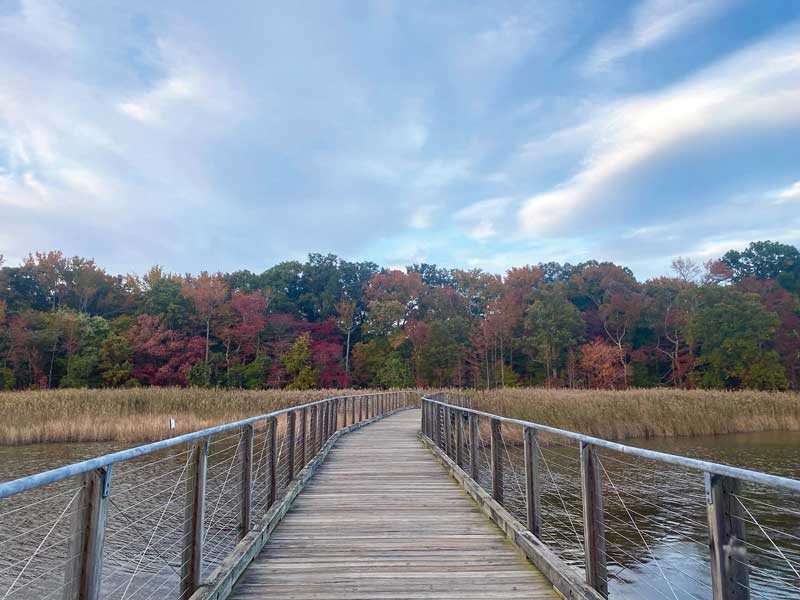 paddle the chesapeake