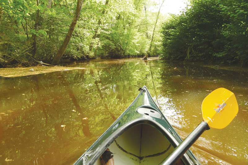 Headed down McIntosh Run. Photo by Craig Ligibel