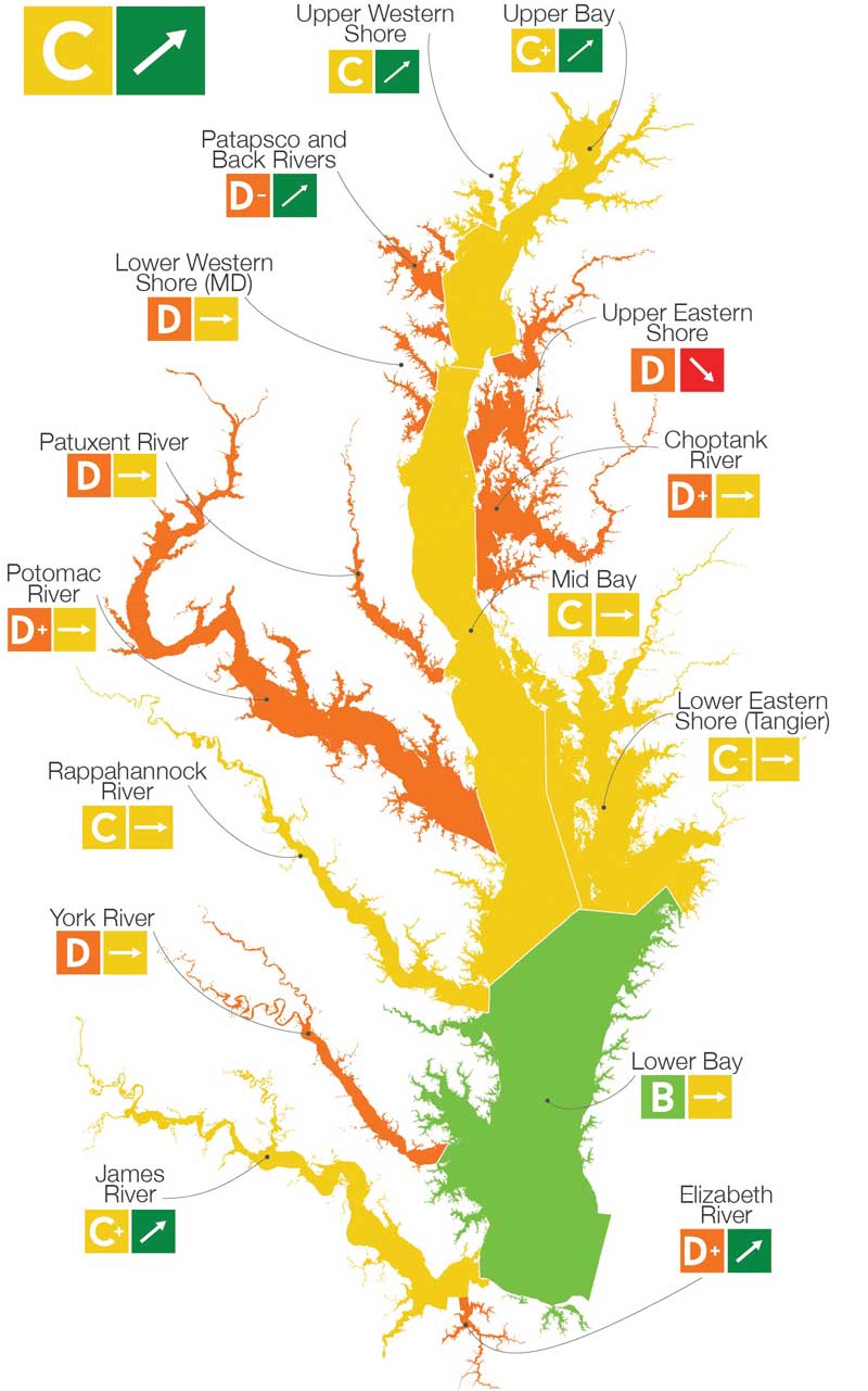 chesapeake bay report card