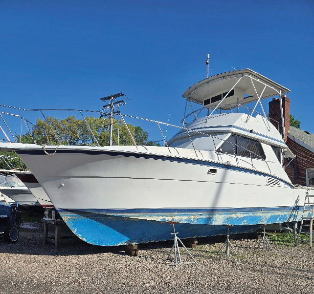 boatshop reports