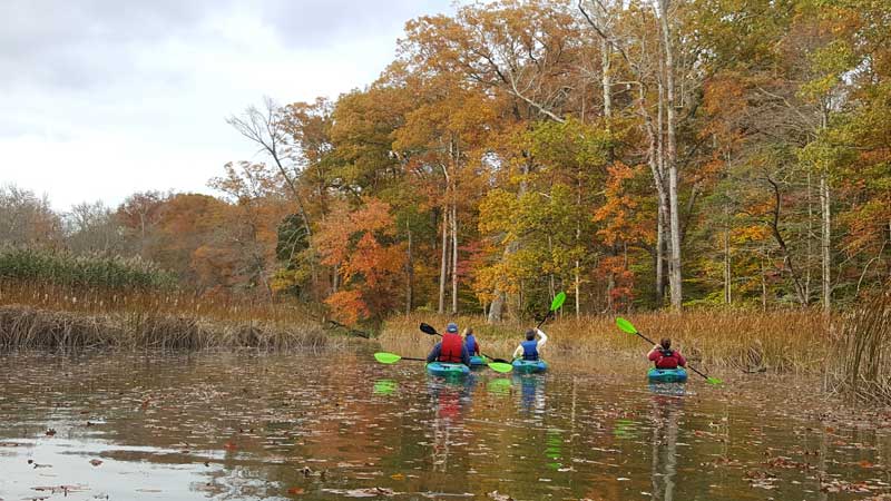 paddle the chesapeake