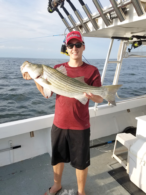 trophy rockfish