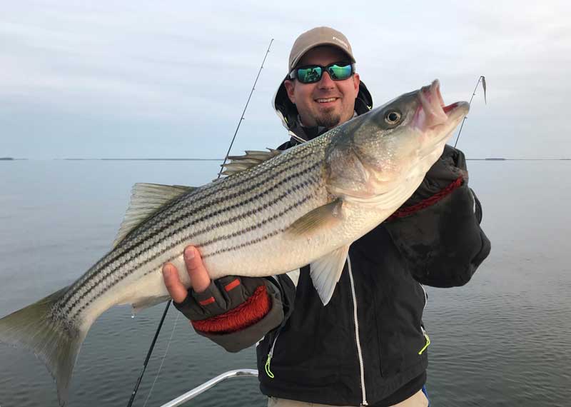 Striped Bass Conservation Regulations