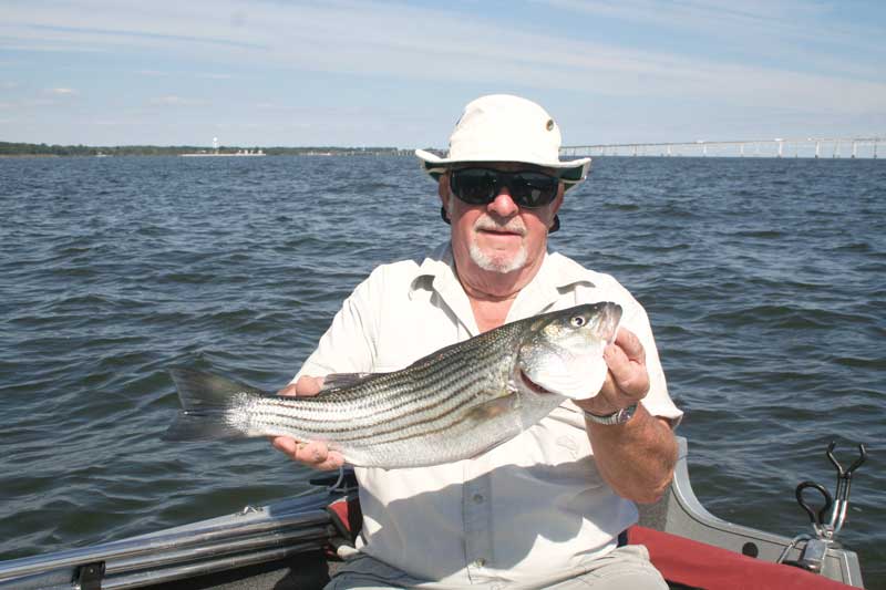 Harry Yingling with a chummed up rockfish from Hackett's. Photo by Eric Burnley