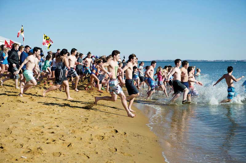 polar bear plunges