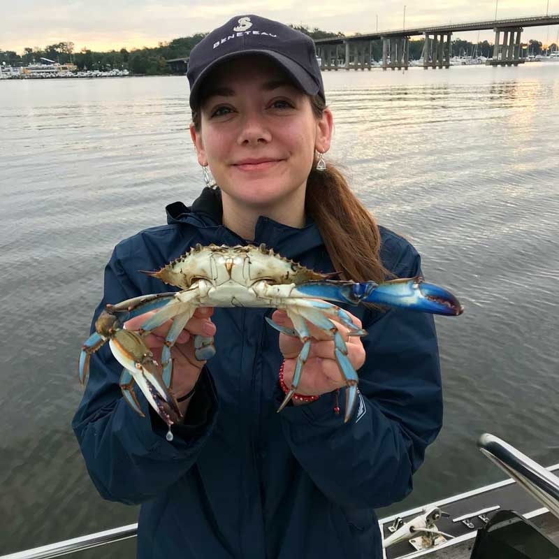 maryland crabbing regulations