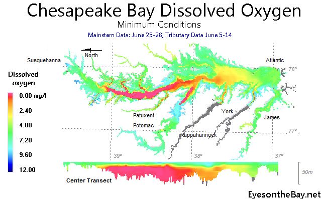 Courtesy EyesontheBay.net/MD DNR